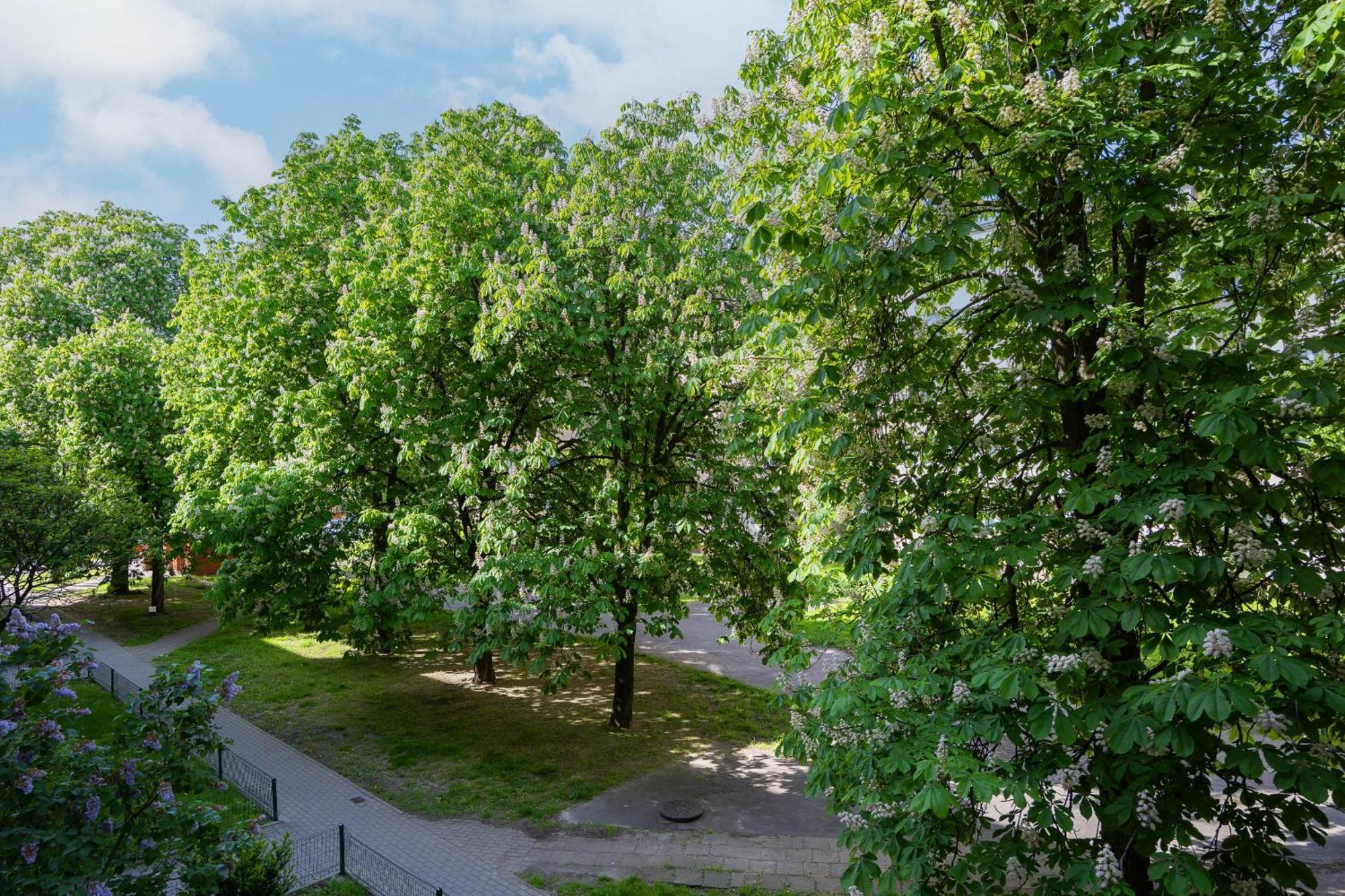 Cozy Near Royal Baths Park By Renters *